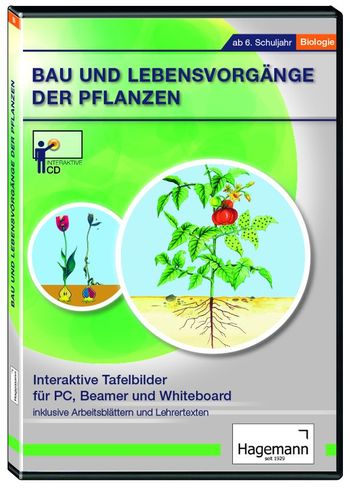 Bau und Lebensvorgänge der Pflanzen