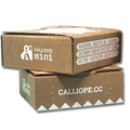Calliope mini – Microcontroller