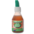 Collall Ökokleber