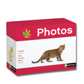 Fotobox Tiere