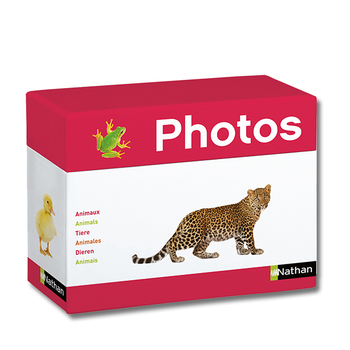 Fotobox Tiere