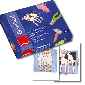 Gambini Gleicher Oberbegriff