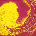 Lascaux Resonance® Gouache