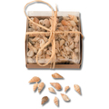 Muschelmix *Sale*