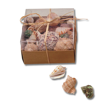 Muschelmix *Sale*