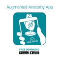 Ohrmodell, 4 Teile – EZ Augmented Anatomy 