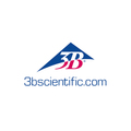 Schädel mit Gehirn, 8-teilig – 3B Smart Anatomy