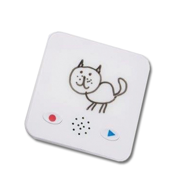 Sprachrekorder mit Whiteboard