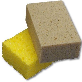 Tafelschwamm