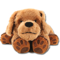 Therapiehund Theo