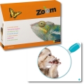 Zoom – die Welt der Tiere