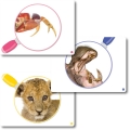 Zoom – die Welt der Tiere
